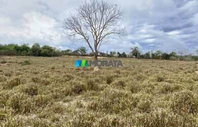 Imagem 9: FAZENDA À VENDA - 275 HECTARES - REGIÃO DE CURVELO MG