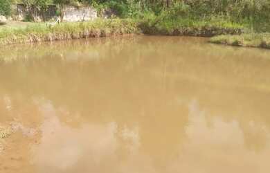 Imagem 12: 1 hectare pisciciultura abandonada 277 mil reais 2 casas