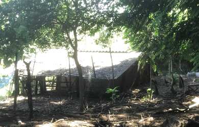 Imagem 7: Chácara 01 hectares valor 250.000 JK goias