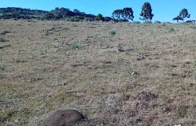 Imagem 2: Chácara em mato queimado 2 km da estrada do Cazuza ferreira