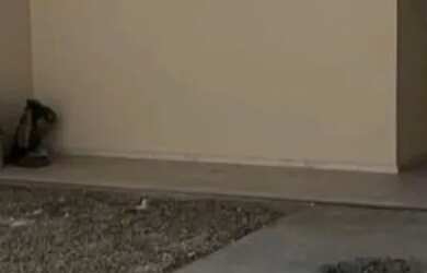 Imagem 3: Vendo casa no Albano franco - (Olhar descrição