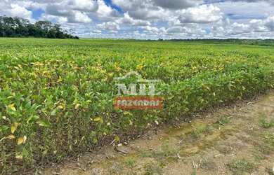 Imagem: A fazenda possui 500m² de Área e está localizado em Piranhas