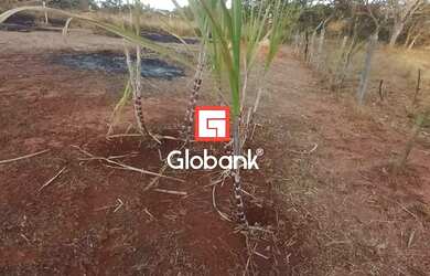 Imagem 8: Chácara em Bocaiúva, no bairro Zona Rural, à venda