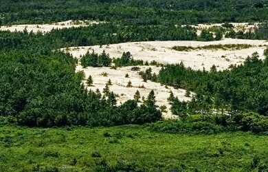 Imagem: O terreno possui 400m² de Área e está localizado em São