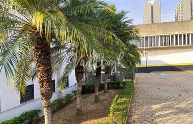 Imagem 13: Prédio para aluguel, 30 vagas, Centro - São José do Rio Preto/SP