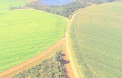 Imagem 4: Fazenda em Paracatu-MG, 2.200 hectares