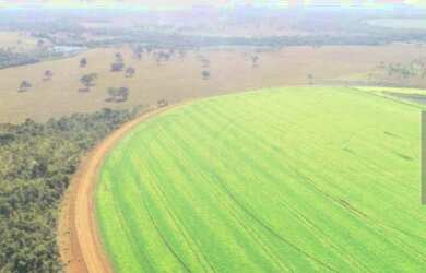 Imagem 10: Fazenda em Paracatu-MG, 2.200 hectares