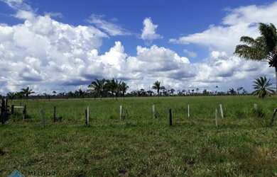 Imagem: A fazenda possui 170m² de Área e está localizado em Candeias