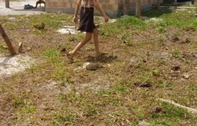 Imagem 14: FAZENDA RURAL em SANTA CRUZ CABRÁLIA - BA, R. Estr. Velha