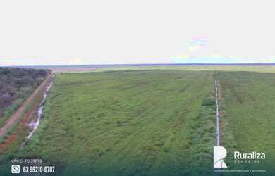 Imagem 9: Fazenda de projeto irrigado por controle de lençol freático na Lagoa...