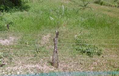 Imagem: O terreno possui 461m² de Área e está localizado em São