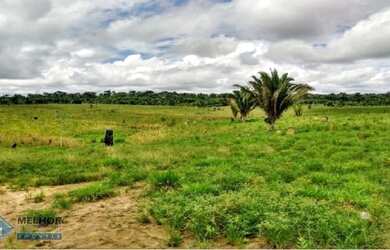 Imagem: Fazenda 140 alqueires Machadinho D x27 oeste