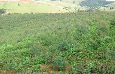 Imagem 8: Área com 120.000 metros quadrados Rodovia Fernão Dias Km33 - Atibaia...