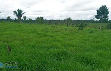 Imagem: Sítio 82 Alqueires Machadinho D Oeste