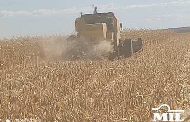 Imagem 8: Fazenda Agrícola em Pedro Afonso-TO. gt 445 Alq. 2.154Há