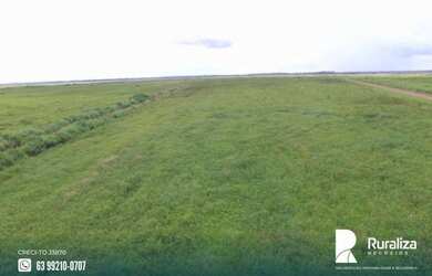 Imagem 5: Fazenda de projeto irrigado por controle de lençol freático na Lagoa...