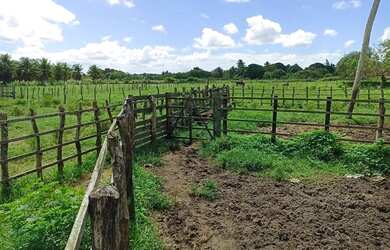 Imagem 9: Oportunidade Venda Granja Sao Jose Mipibu 23.640 M2