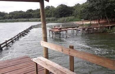 Imagem: A chácara possui 250m² de Área e está localizado em Bauru