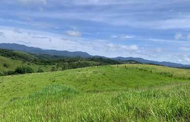 Imagem: O terreno possui 500m² de Área, Imóvel novo e está localizado