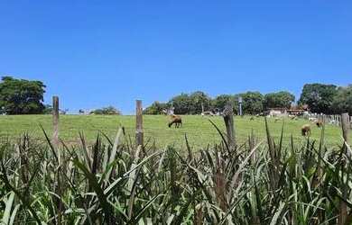 Imagem 16: Vendo lindo sítio em Araçoiaba da Serra SP bairro Jundiacanga