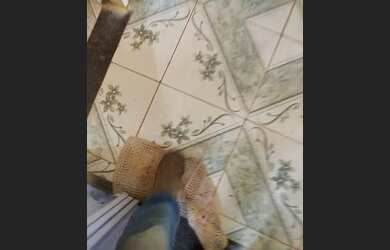 Imagem 6: Alugo Casa 2 Quartos Novo GAMA -GO