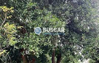 Imagem: A fazenda possui 4.356m² de Área e está localizado em Sim