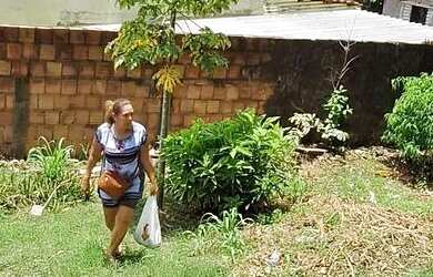 Imagem 4: Venda Casa Manoa. Varanda, 10m² de Área, 1 Banheiroe3 Dormitórios