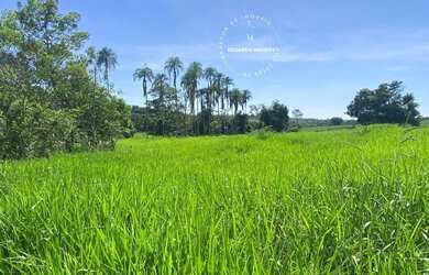Imagem: A fazenda possui 484000m² de Área e está localizado em Abadiânia