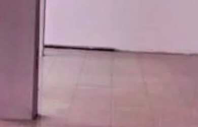 Imagem 5: Centro comercial para aluguel tem 300 metros quadrados em Calçada - Salvador...