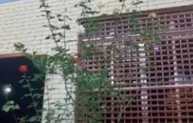 Imagem 5: CASA ASSOBRADADA - POMPÉIA - SP