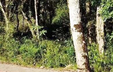 Imagem 3: Terreno para Venda em Nova Petrópolis, Linha Imperial