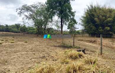 Imagem 4: FAZENDA À VENDA - 275 HECTARES - REGIÃO DE CURVELO MG