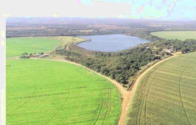 Imagem 9: Fazenda em Paracatu-MG, 2.200 hectares
