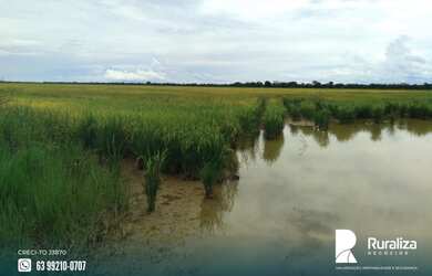Imagem 13: Fazenda de projeto irrigado por controle de lençol freático na Lagoa...