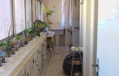 Imagem 8: São Paulo - Apartamento Padrão - Jardim Paulista