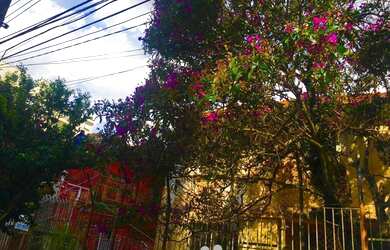 Imagem 10: Venda casa em uma rua maravilhosa perto de tudo ,perto dos principais supermercados