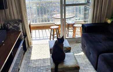 Imagem 3: Apartamento com 3 dormitórios à venda, 82 m² por R$ 640.000,00 - Jaguaré...