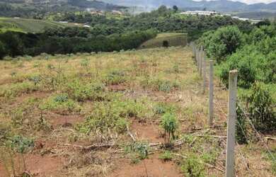 Imagem 6: Área com 120.000 metros quadrados Rodovia Fernão Dias Km33 - Atibaia...