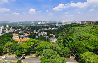 Imagem 1: Uma tela em branco prontinha