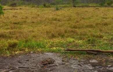 Imagem 9: FAZENDA RURAL em SANTA CRUZ CABRÁLIA - BA, R. Estr. Velha