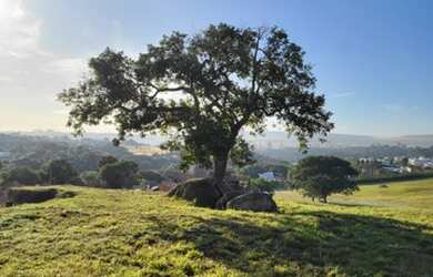 Imagem 1: Lote/Terreno para venda tem 1000 metros quadrados em Recreio Marajoara...