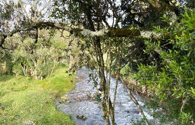 Imagem 5: Urubici Chácara com rio