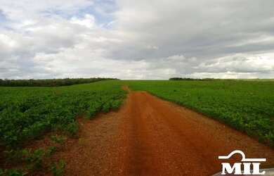 Imagem 2: Fazenda Agrícola em Pedro Afonso-TO. gt 445 Alq. 2.154Há