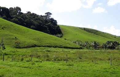 Imagem 7: Fazenda para Venda em Passo de Camaragibe, Zona Rural