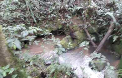 Imagem 4: Chácara 29.342 m2 a 5 km Campo Largo