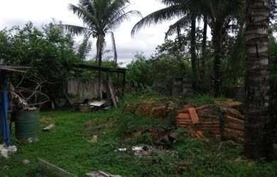 Imagem 6: VENDO TERRENO - BARRANCO ALTO - CARAGUATATUBA - SÃO PAULO