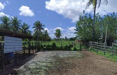 Imagem 4: Oportunidade Venda Granja Sao Jose Mipibu 23.640 M2