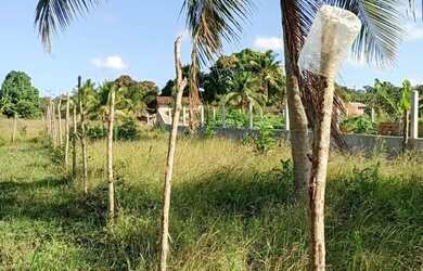 Imagem: O terreno possui 32m² de Área e está localizado em Itaporanga