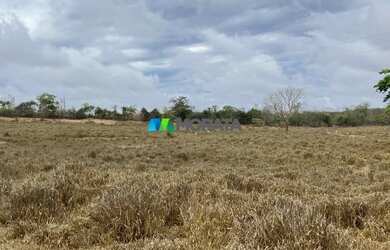Imagem 8: FAZENDA À VENDA - 275 HECTARES - REGIÃO DE CURVELO MG
