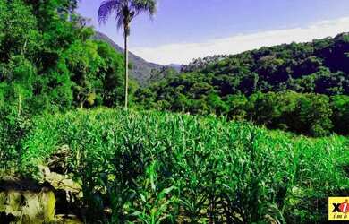 Imagem 16: Sítio / Chácara para Venda em Nova Petrópolis, Arroio Paixão